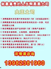 农村爆料标题大全集最新,揭秘最新热点事件背后的真相